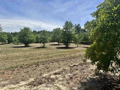 1353 Cheraw Road Cassatt SC 29032