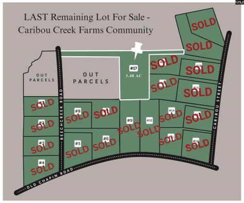 1256 Beechcreek Road Lexington SC 29072