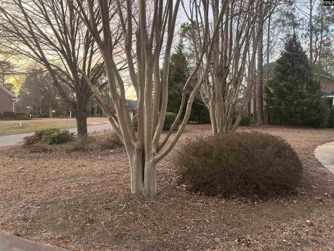 120 Brookhaven Circle Blythewood SC 29016