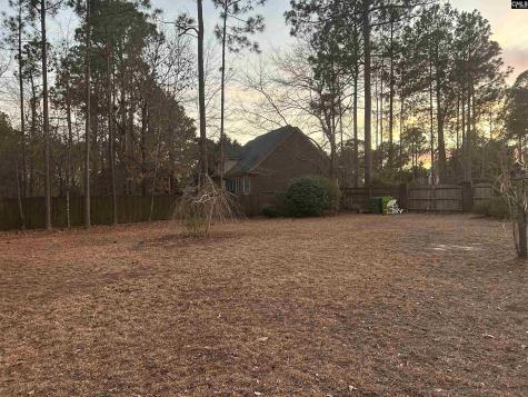 120 Brookhaven Circle Blythewood SC 29016