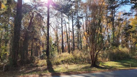 2247 Old Cherokee Road Lot #6 Lexington SC 29072
