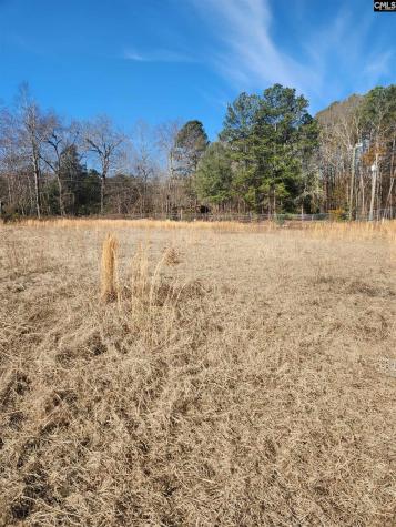 4011 Baldwin Road Columbia SC 29204