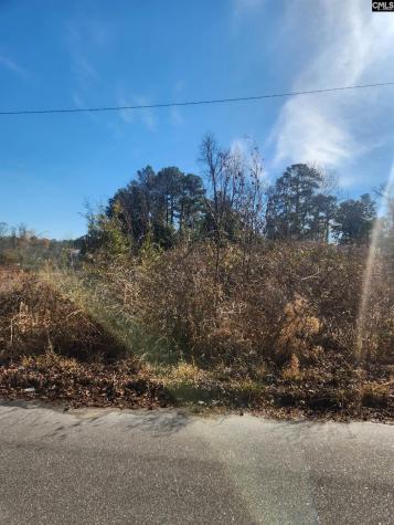 4011 Baldwin Road Columbia SC 29204