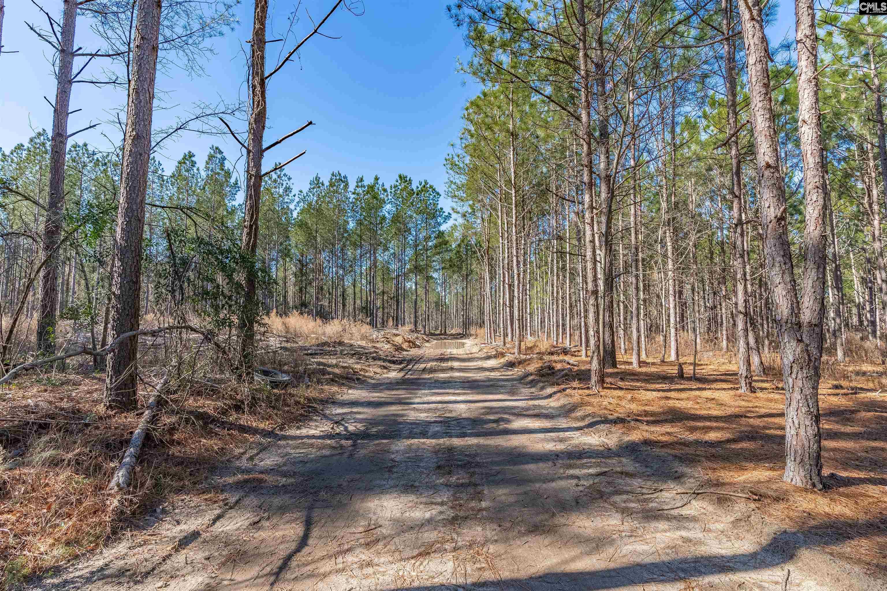 Lot #4 Fairview Road 008200-07-010 Batesburg SC 29006