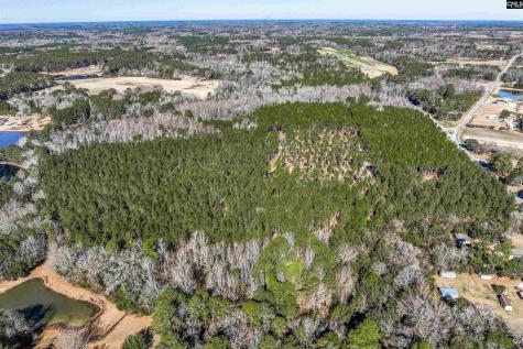 Lot #4 Fairview Road 008200-07-010 Batesburg SC 29006