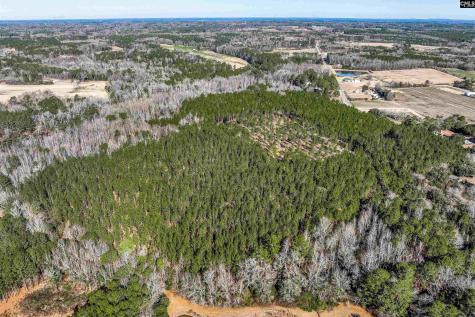 Lot #4 Fairview Road 008200-07-010 Batesburg SC 29006