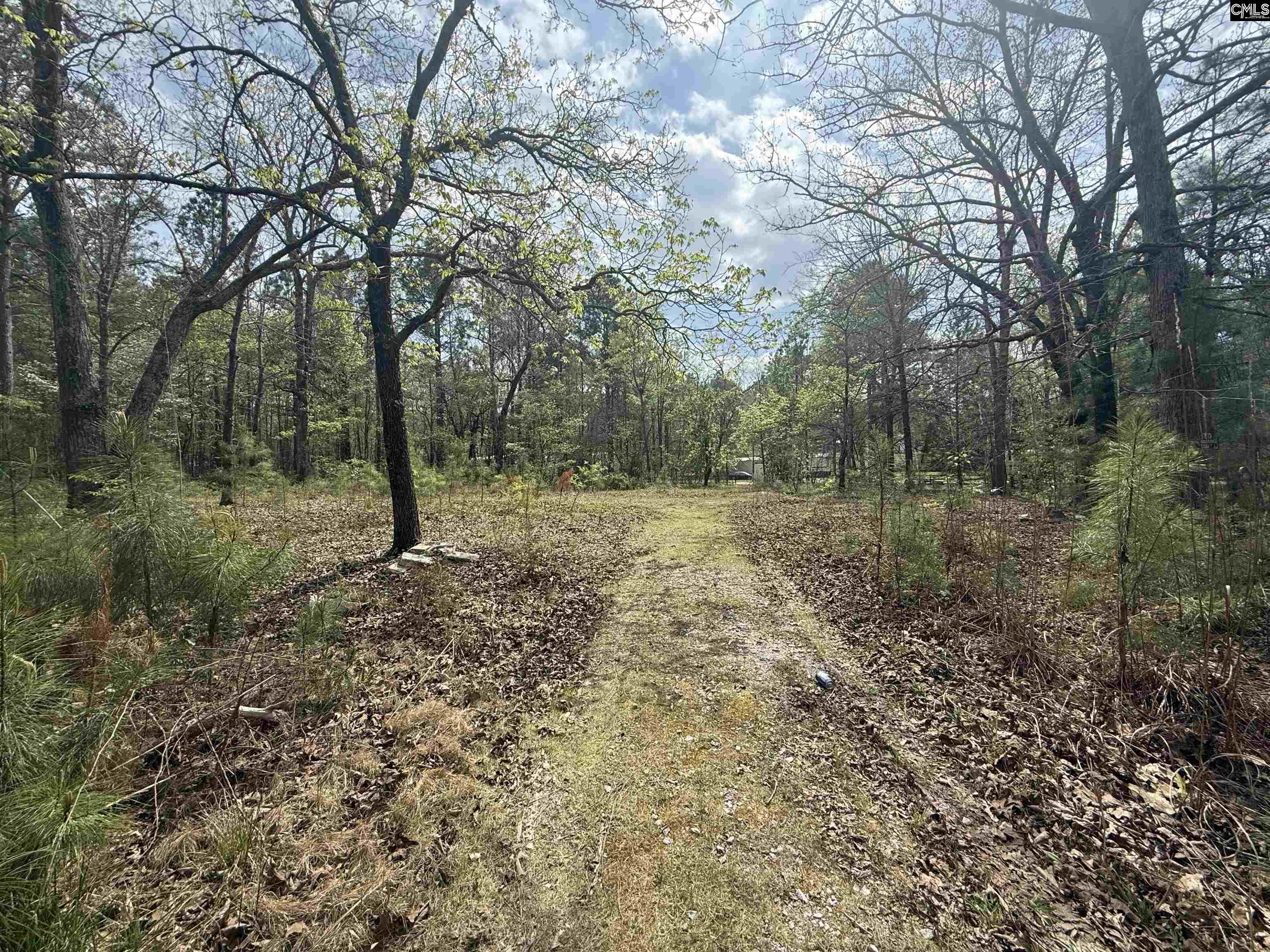 129 Treemount Lane Gaston SC 29053