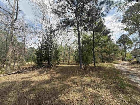 129 Treemount Lane Gaston SC 29053