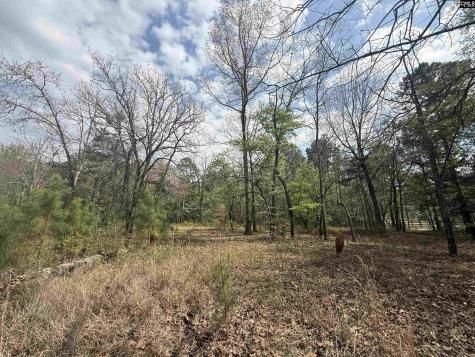 129 Treemount Lane Gaston SC 29053