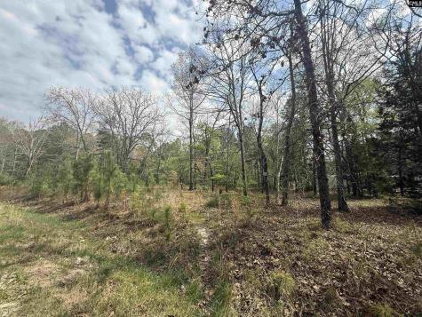129 Treemount Lane Gaston SC 29053