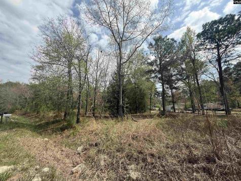 129 Treemount Lane Gaston SC 29053