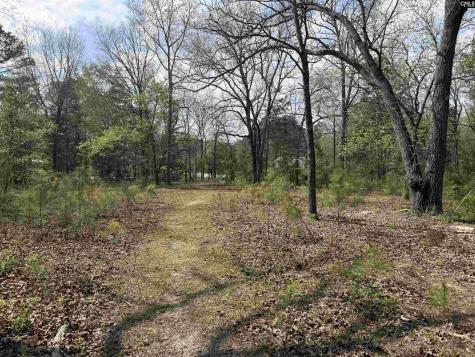 129 Treemount Lane Gaston SC 29053