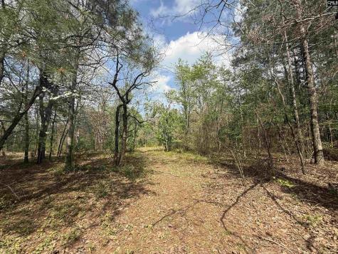129 Treemount Lane Gaston SC 29053