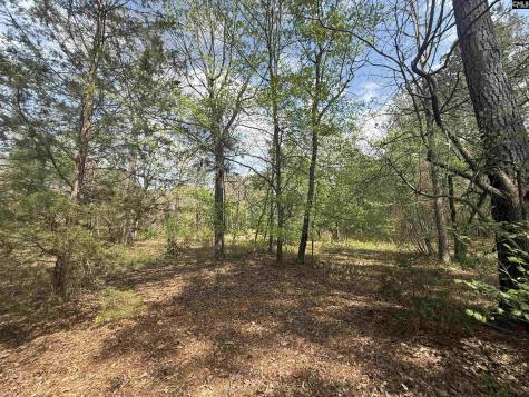 129 Treemount Lane Gaston SC 29053