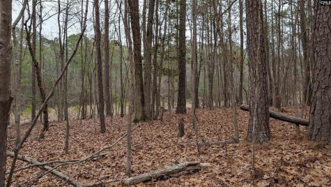 Lots B & C Miller Road Camden SC 29020-0000