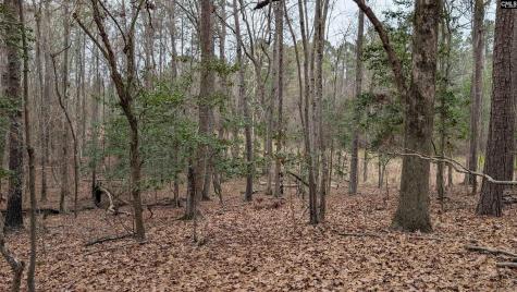 Lots B & C Miller Road Camden SC 29020-0000