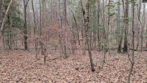 Lots B & C Miller Road Camden SC 29020-0000