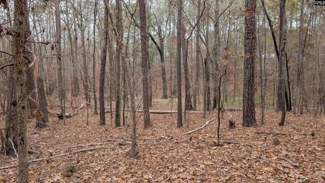 Lots B & C Miller Road Camden SC 29020-0000