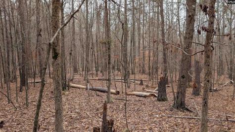 Lots B & C Miller Road Camden SC 29020-0000