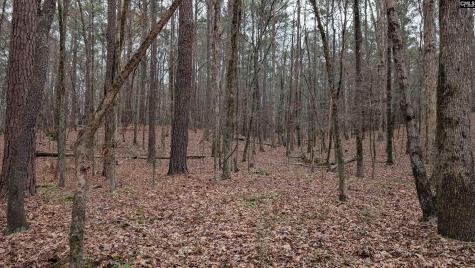 Lots B & C Miller Road Camden SC 29020-0000