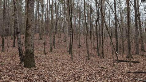 Lots B & C Miller Road Camden SC 29020-0000