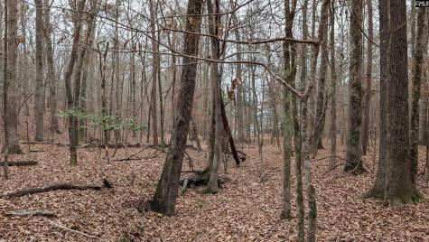 Lots B & C Miller Road Camden SC 29020-0000