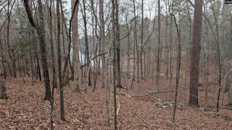 Lots B & C Miller Road Camden SC 29020-0000