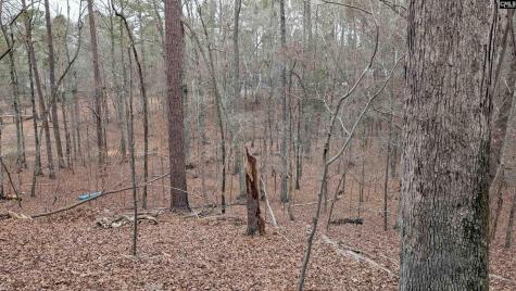 Lots B & C Miller Road Camden SC 29020-0000