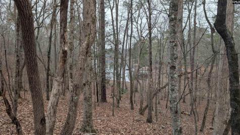 Lots B & C Miller Road Camden SC 29020-0000