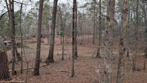 Lots B & C Miller Road Camden SC 29020-0000