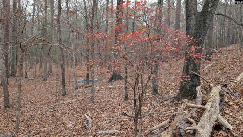 Lots B & C Miller Road Camden SC 29020-0000
