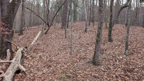 Lots B & C Miller Road Camden SC 29020-0000
