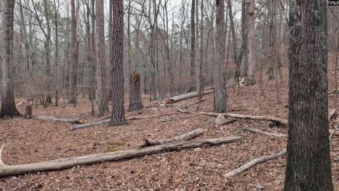 Lots B & C Miller Road Camden SC 29020-0000