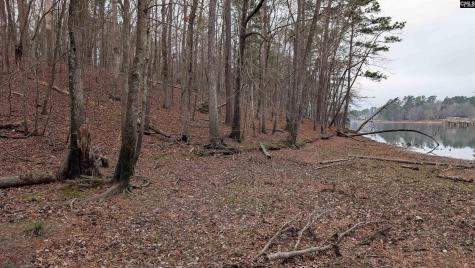 Lots B & C Miller Road Camden SC 29020-0000