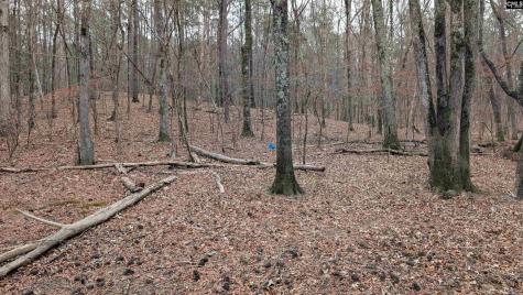 Lots B & C Miller Road Camden SC 29020-0000