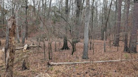 Lots B & C Miller Road Camden SC 29020-0000