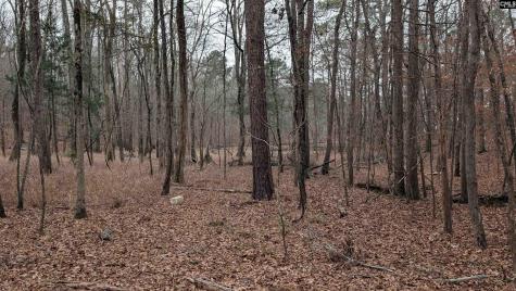 Lots B & C Miller Road Camden SC 29020-0000