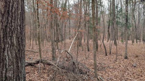 Lots B & C Miller Road Camden SC 29020-0000