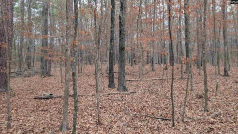 Lots B & C Miller Road Camden SC 29020-0000