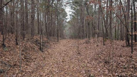 Lots B & C Miller Road Camden SC 29020-0000