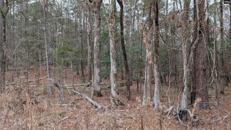 Lots B & C Miller Road Camden SC 29020-0000
