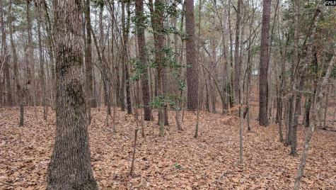 Lots B & C Miller Road Camden SC 29020-0000