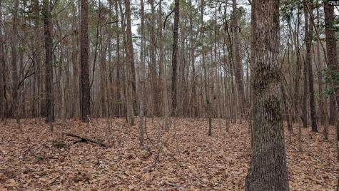 Lots B & C Miller Road Camden SC 29020-0000