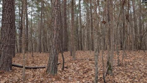 Lots B & C Miller Road Camden SC 29020-0000