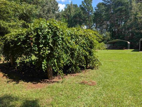 00 Nature Way Saluda SC 23198