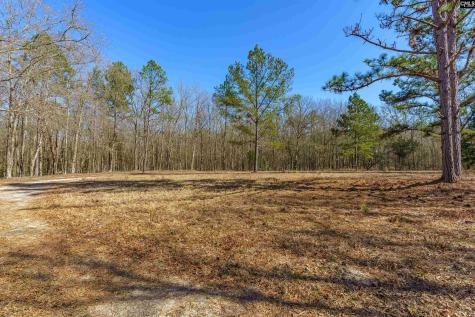 442 Savany Hunt Creek Road Gaston SC 29053