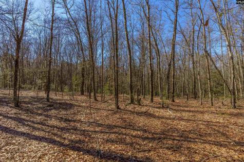 442 Savany Hunt Creek Road Gaston SC 29053