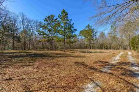 442 Savany Hunt Creek Road Gaston SC 29053