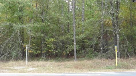 471 Turkey Farm Road Blythewood SC 29016