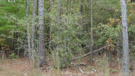 471 Turkey Farm Road Blythewood SC 29016